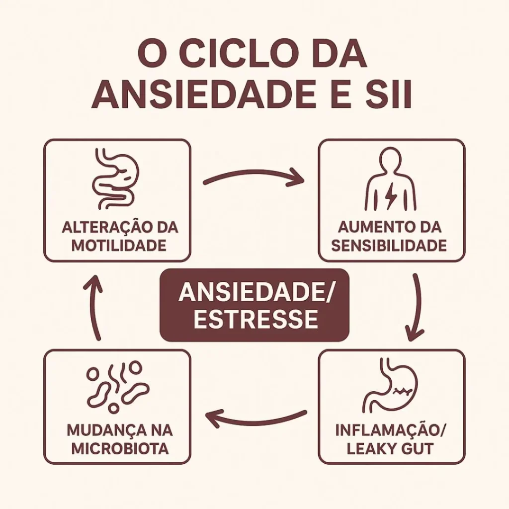 Infográfico explicativo sobre como a ansiedade intensifica os sintomas da Síndrome do Intestino Irritável (SII) através do eixo cérebro-intestino