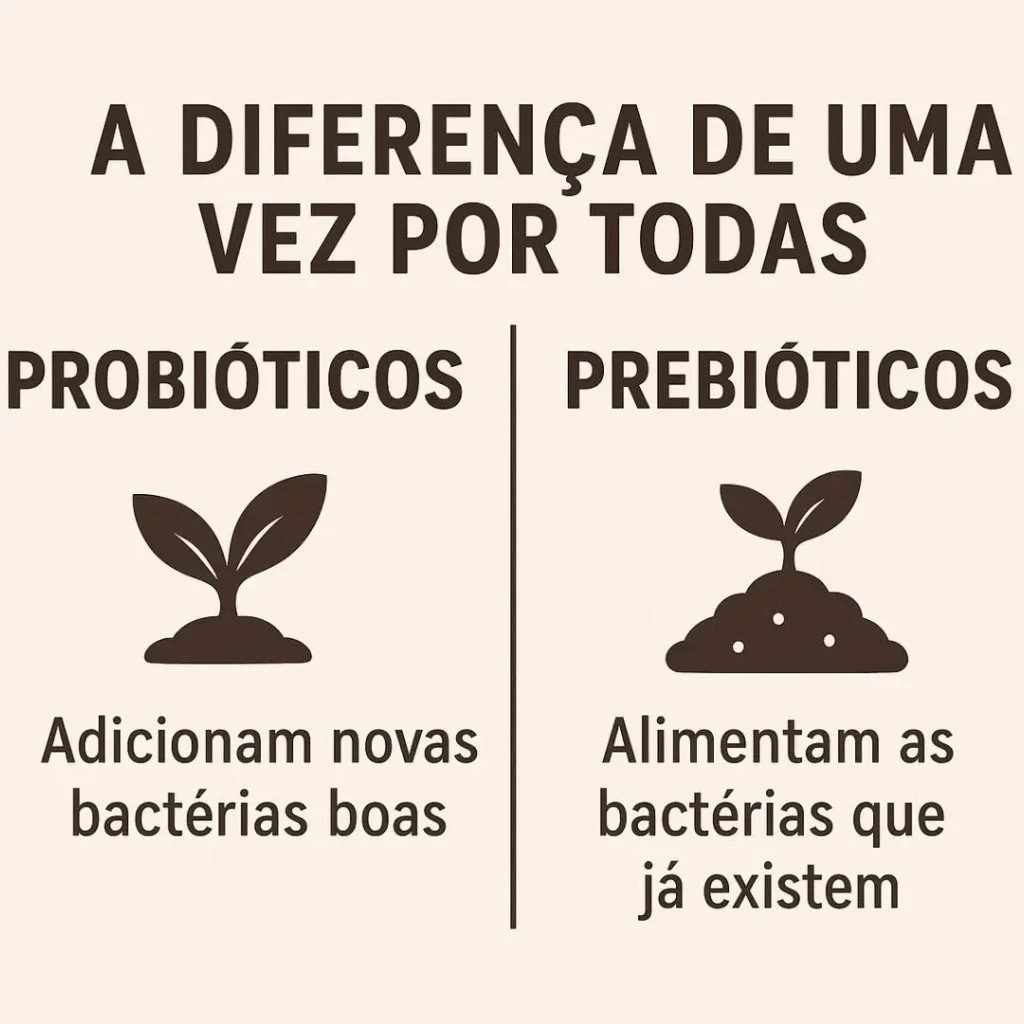 Infográfico comparativo mostrando a diferença entre probióticos e prebióticos usando a analogia do jardim intestinal