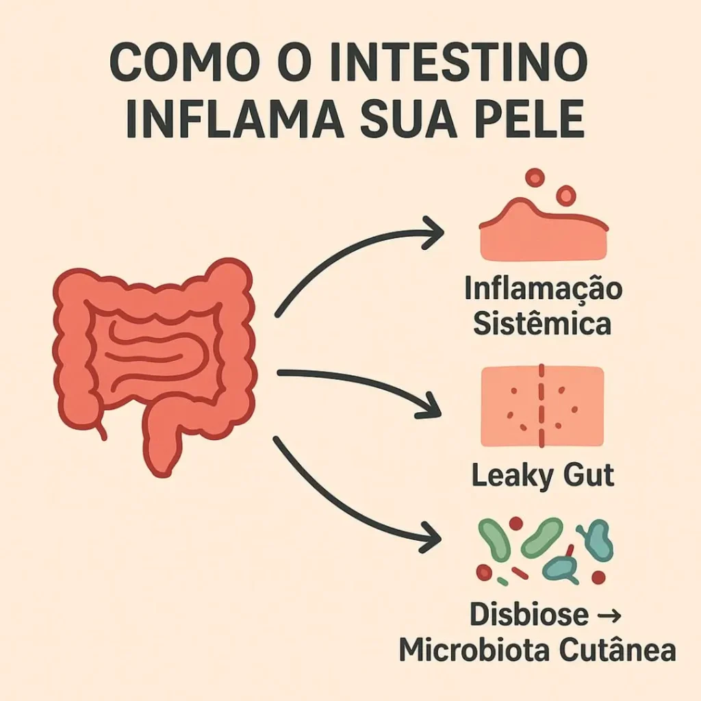 Infográfico explicando os 3 mecanismos da conexão intestino-pele