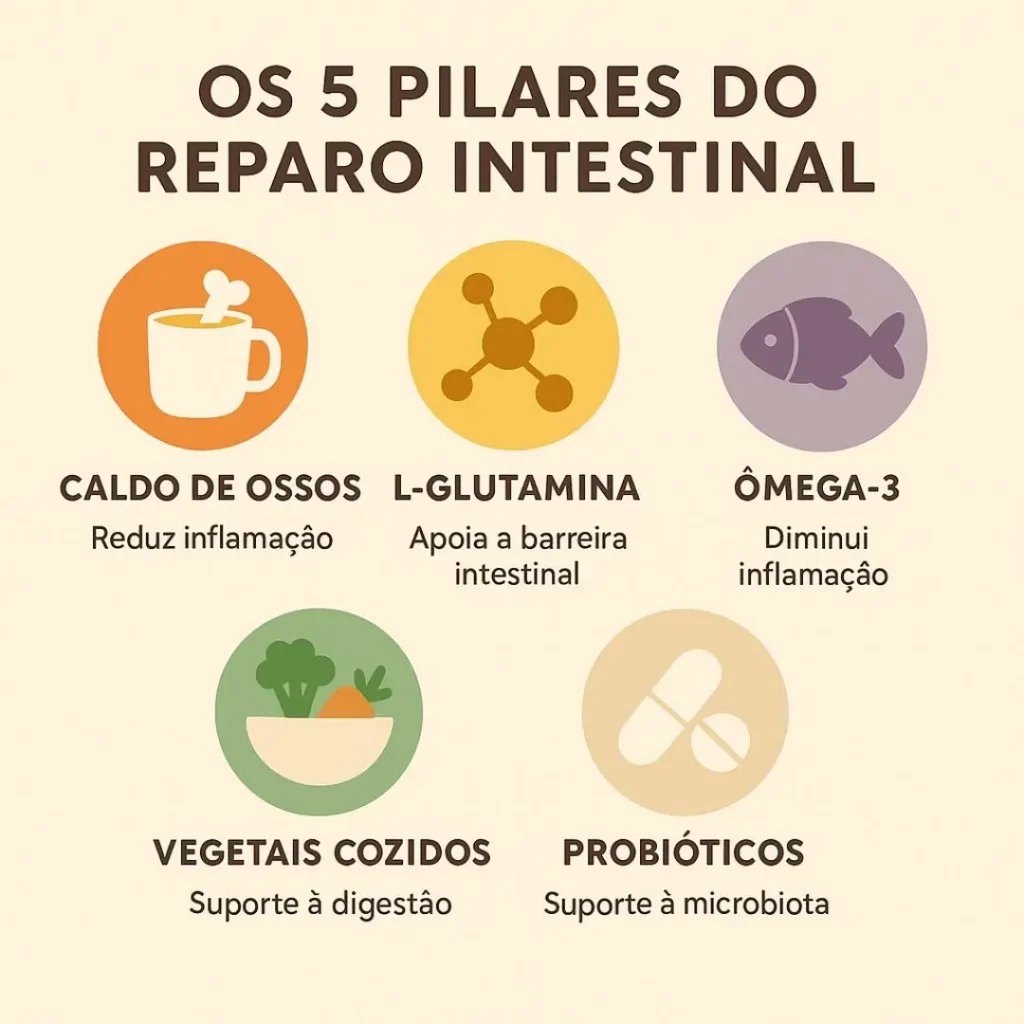 Infográfico mostrando os 5 principais alimentos para comer e curar o intestino permeável (Leaky Gut)